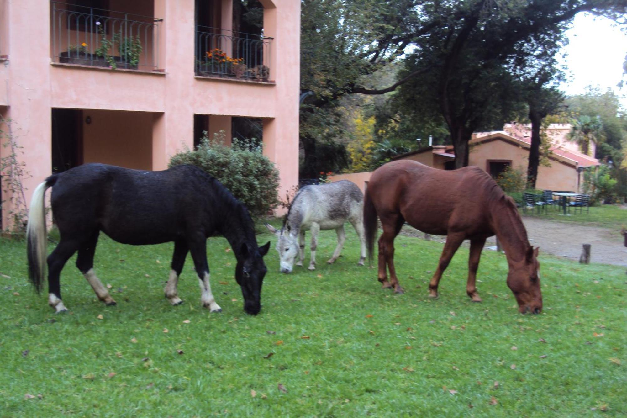 Hotel Loma Bola La Paz  Dış mekan fotoğraf